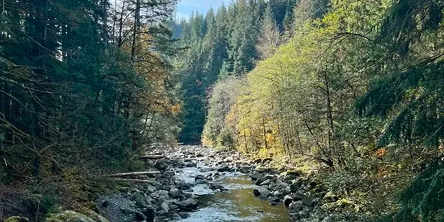 snohomish river fixing finances