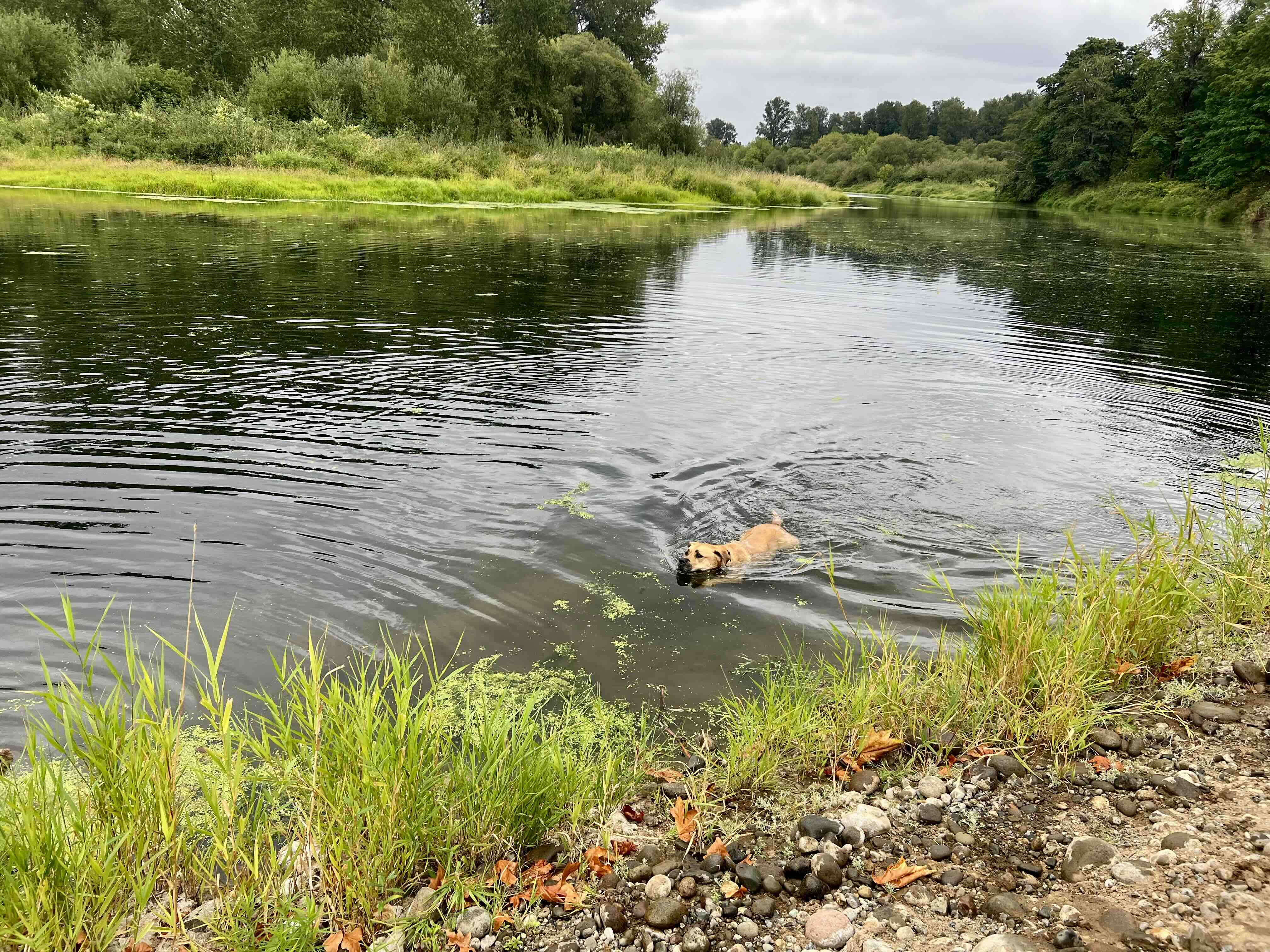 treading finance management like the Yakima River