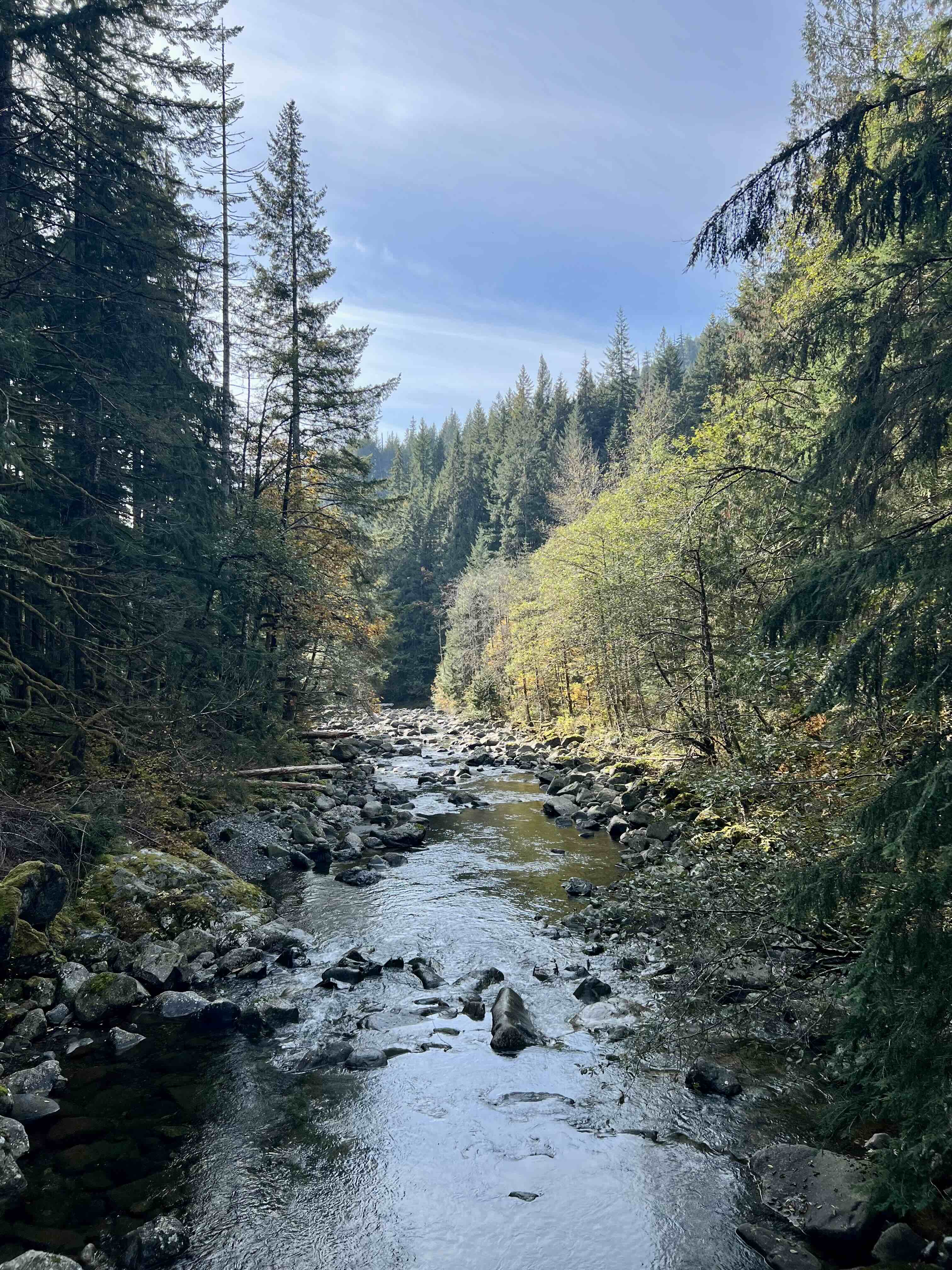 nipipani llc accounting bookkeeping