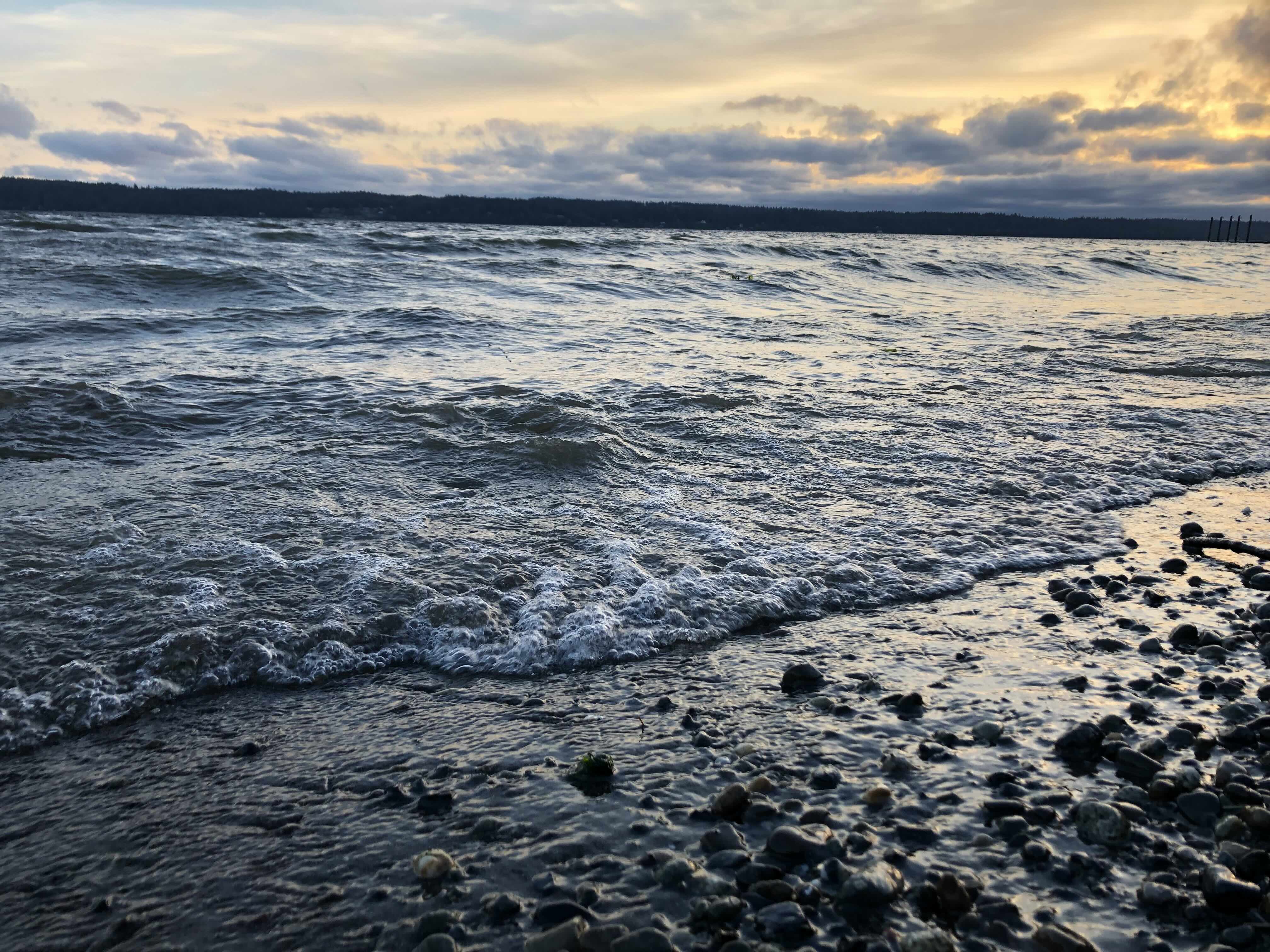 the ocean of accounting and finance